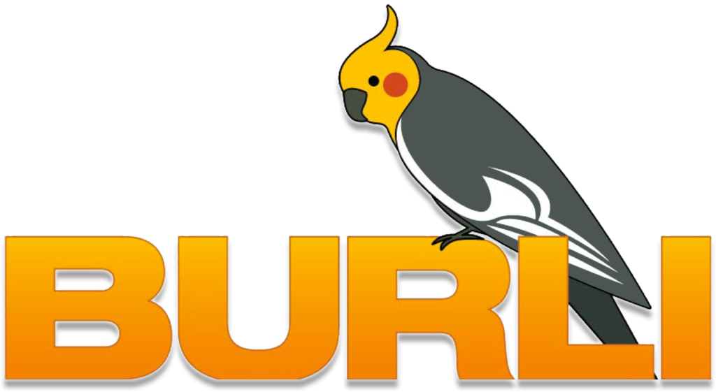 Burli Newsroom logo